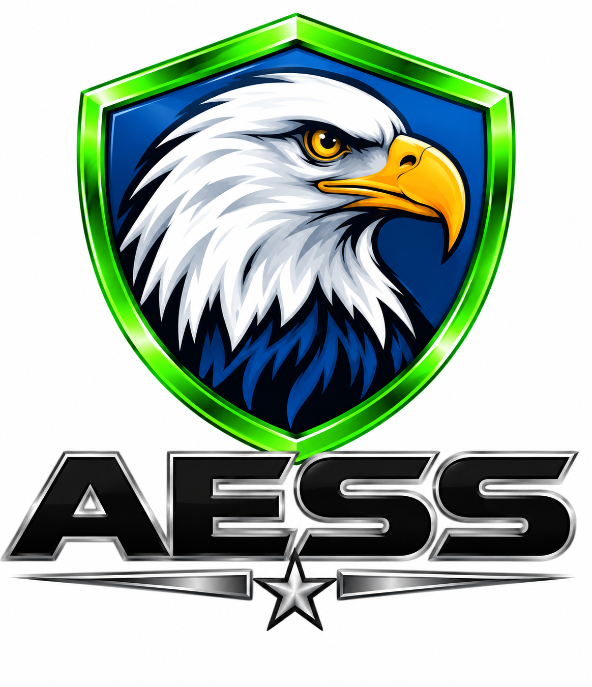 aess logo event security bodyguards spousal protection